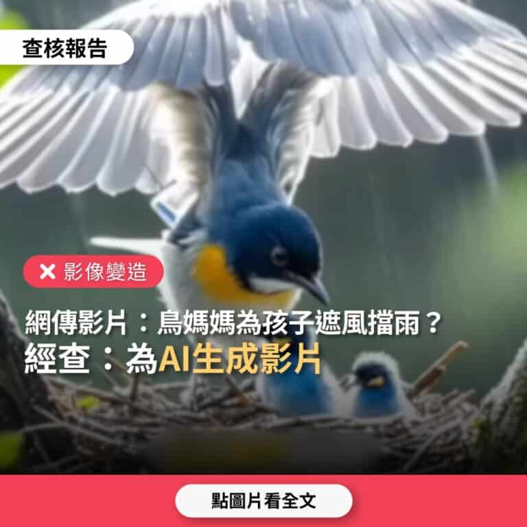 網傳影片「鳥媽媽為孩子遮風擋雨，母愛真偉大」？