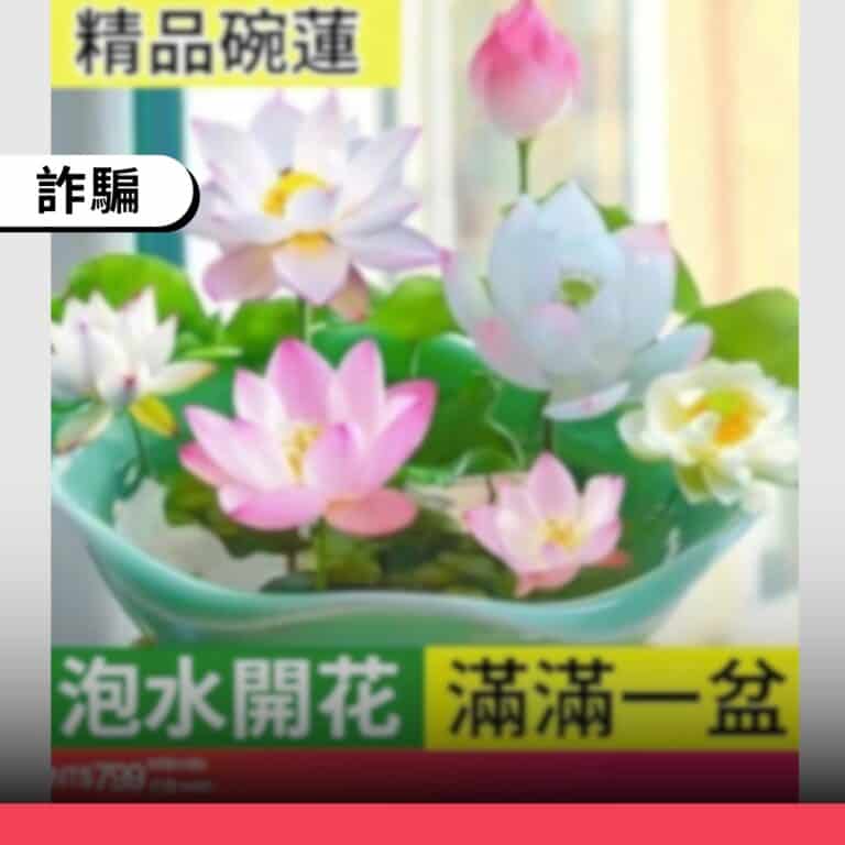 網傳「精品碗蓮」是假冒農試所名義的購物詐騙