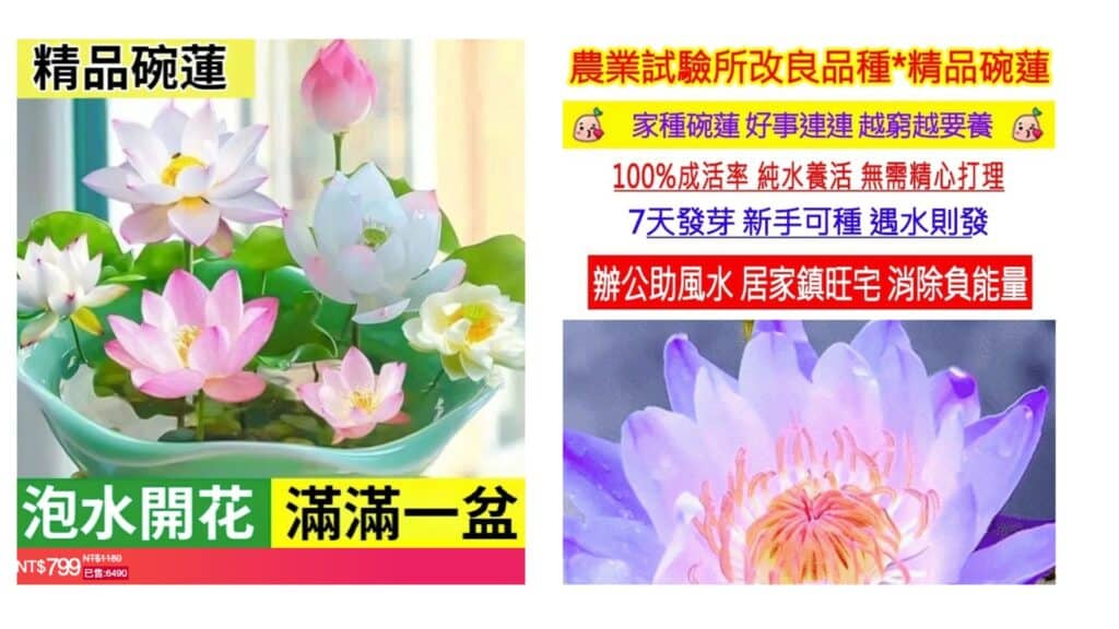 網傳訊息擷圖