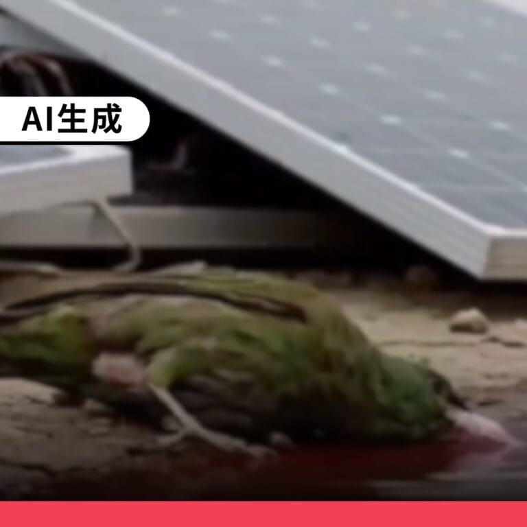 網傳「鳥喝了被光電板污染的水立刻暴斃」是AI生成影片