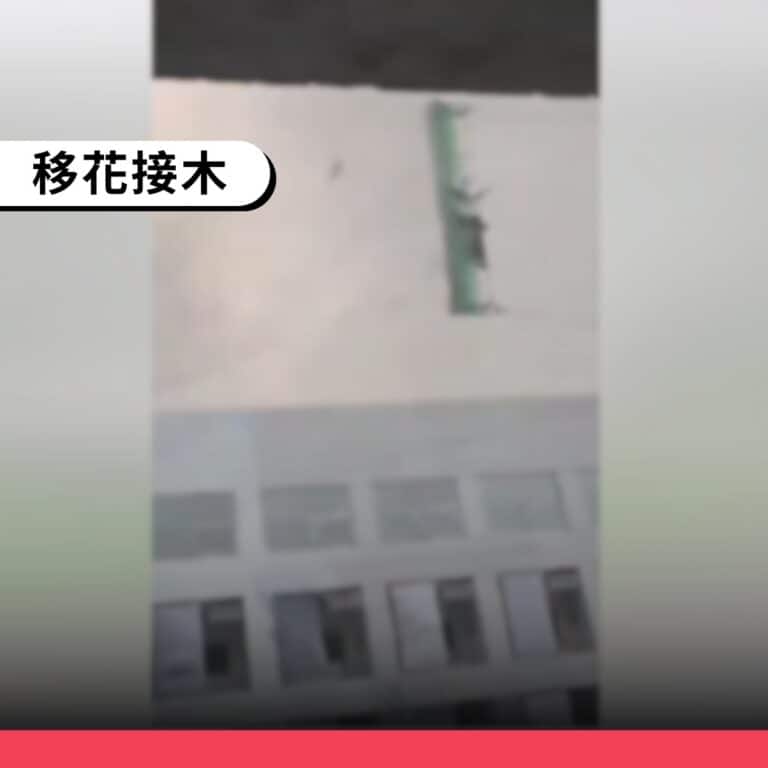 網傳樺加沙颱風襲香港影片多是移花接木的舊影像