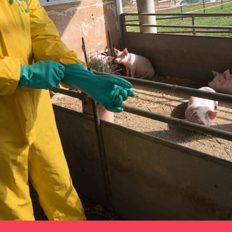 114年防檢署防疫宣傳預算被刪6成