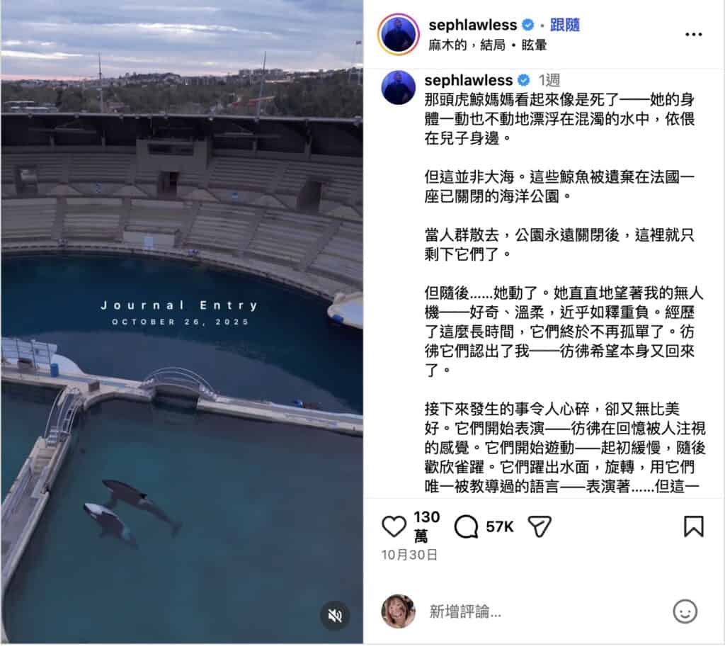 法國虎鯨母子影片在台熱傳渲染敘事激起同情與怒火- 台灣事實查核中心