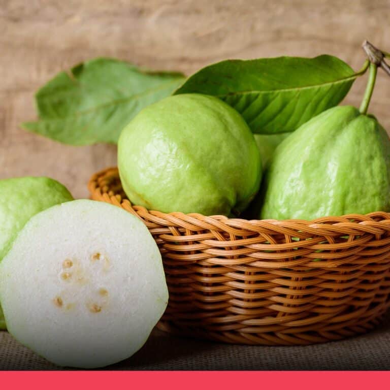 芭樂營養素有助延緩醣類吸收 帶皮吃可以攝取更多營養