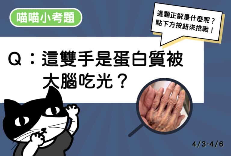 【喵喵小考題】20260403-20260406