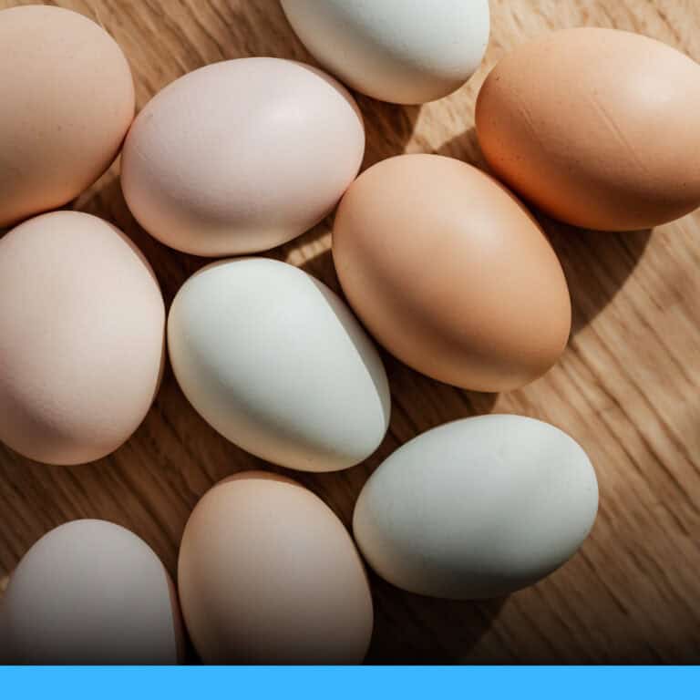 受污染雞蛋可能釀沙門氏菌感染。市場買回別洗蛋、烹煮時注意手部衛生，可降感染風險