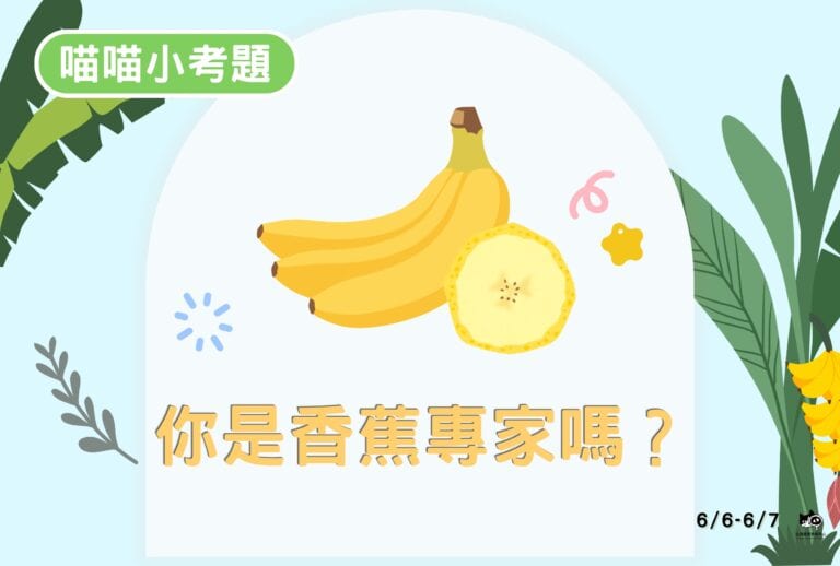【喵喵小考題】20260606-20260607
