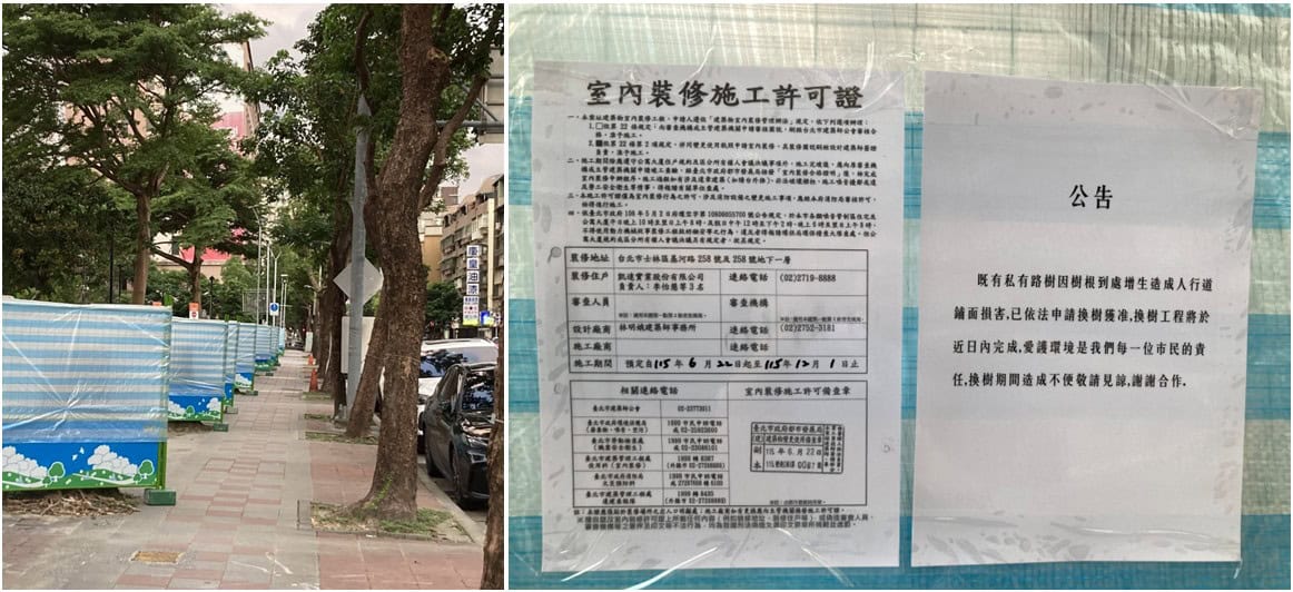 台北市士商路遭砍路樹已被圍起,現場公告解釋因私有路樹樹根造成人行道損壞,因此申請換樹(查核記者現場拍攝)。