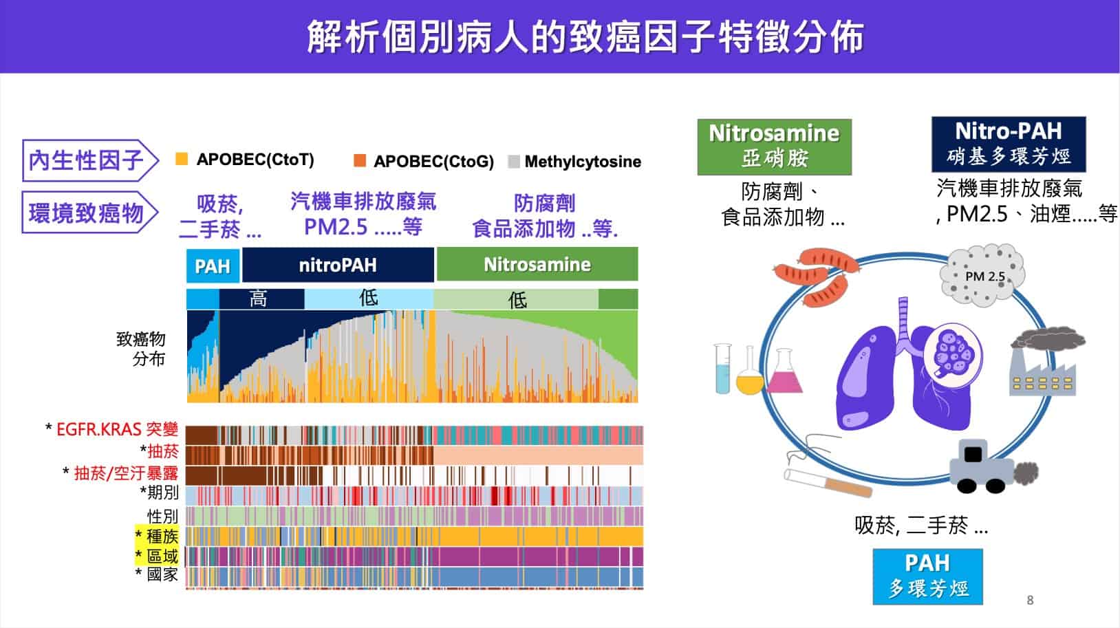 不同類型的受試者,因為生活習慣等不同,對於環境致癌物的敏感度各有不同。(臺灣癌症登月計畫)