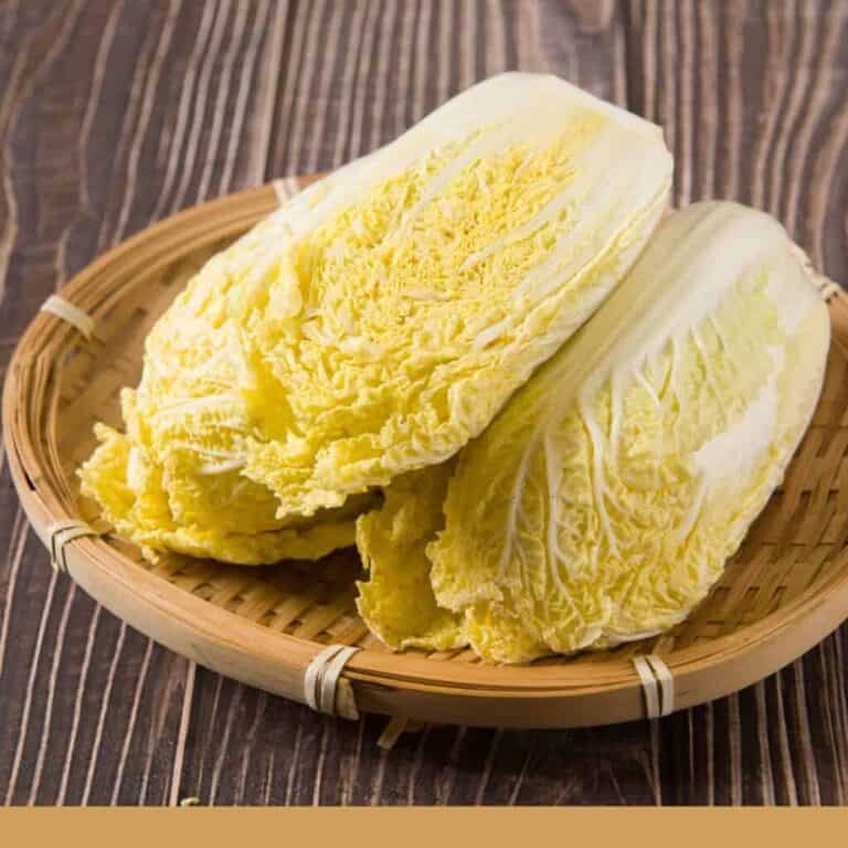 娃娃菜冰3週不壞的秘密 關鍵是採後處理、冷鏈技術