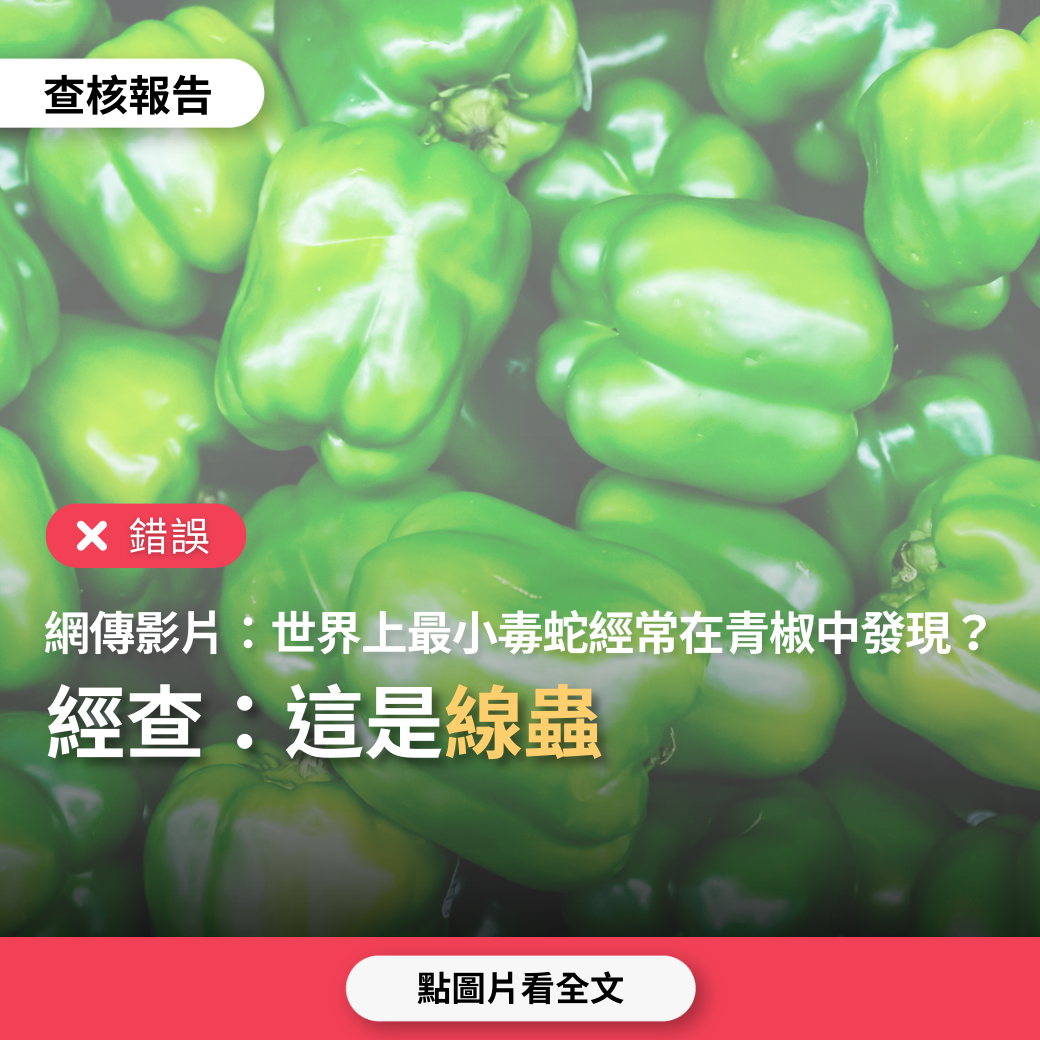 Image accompanying 網傳影片「它被稱為世界上最小的有毒蛇,經常在青椒中發現...因為它有毒或用於沙拉」?