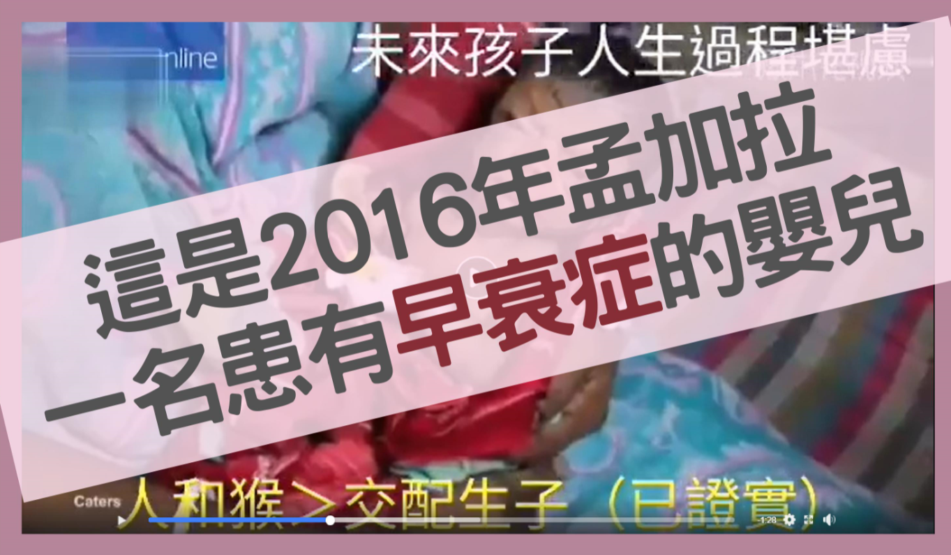 Image accompanying 網傳影片宣稱「人和猴子交配生子」?