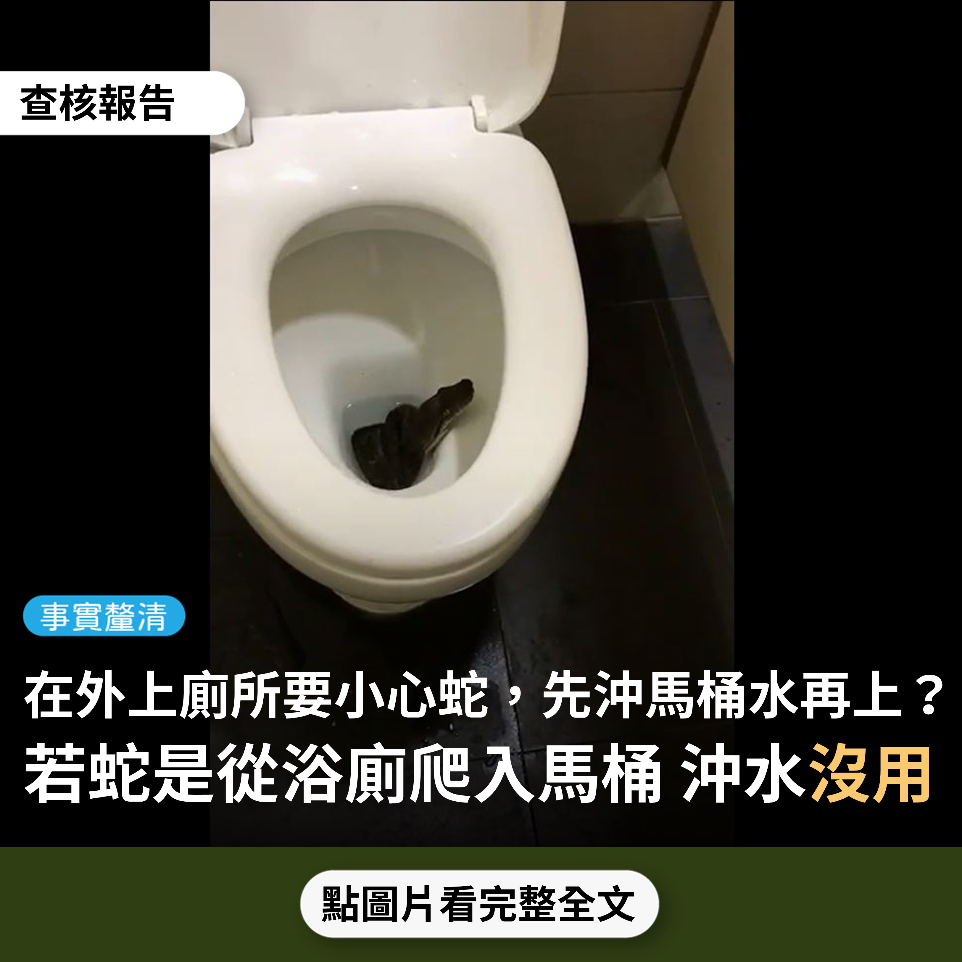 【事實釐清】網傳影片「在外上廁所，真的要小心蛇…記得先沖水再上」？