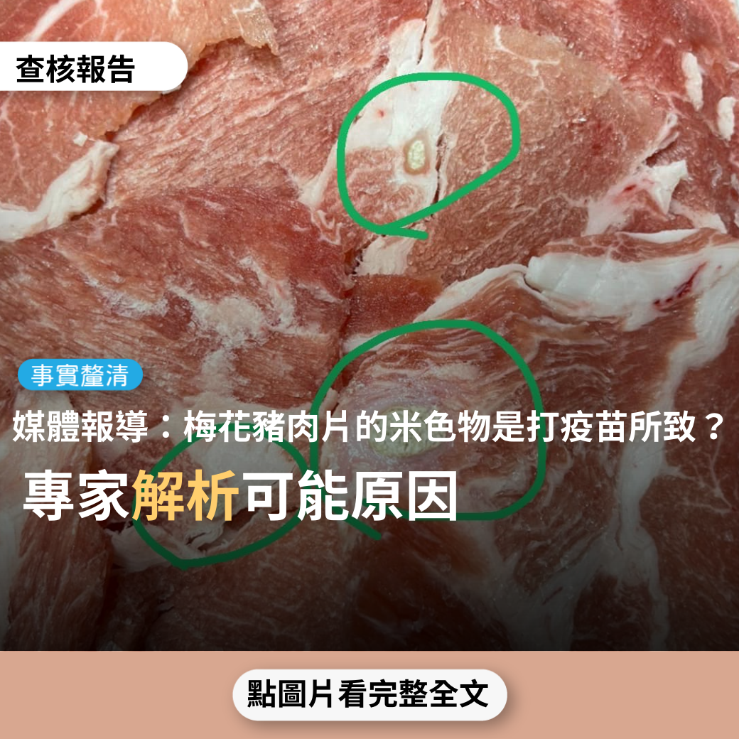 【事實釐清】媒體報導稱「網友在大賣場購入梅花豬肉，但肉片上有不明的米色物，是打疫苗所致」？