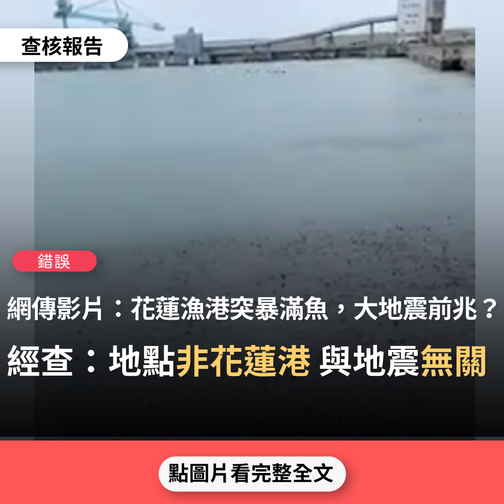 【錯誤】網傳影片「花蓮漁港突然暴滿魚，這有可能是要發生大地震的前兆，大家要小心注意哦！」？