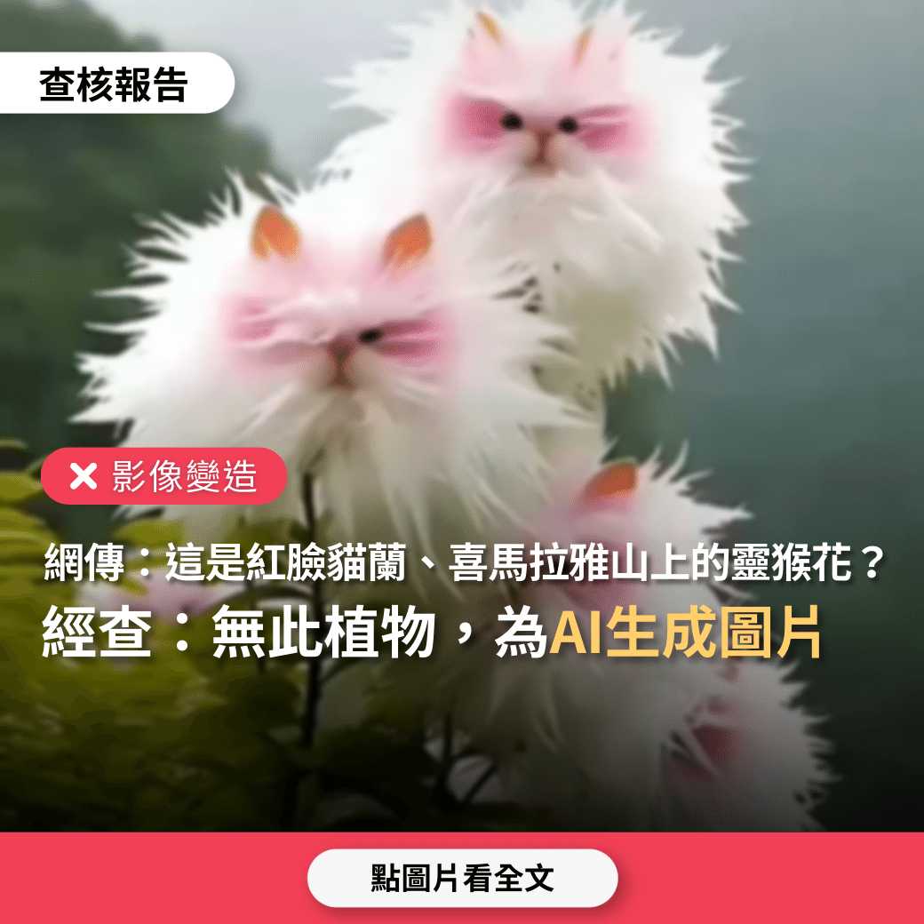 【錯誤】網傳圖片「這花叫紅臉貓蘭」、「喜馬拉雅山上的靈猴花開了」？