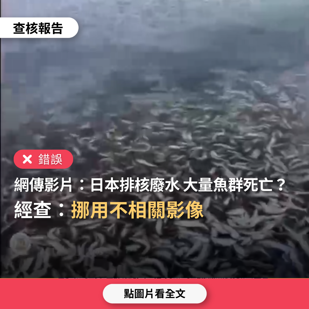 【錯誤】網傳影片「日本核廢料排放後附近海域魚群大量死亡」？