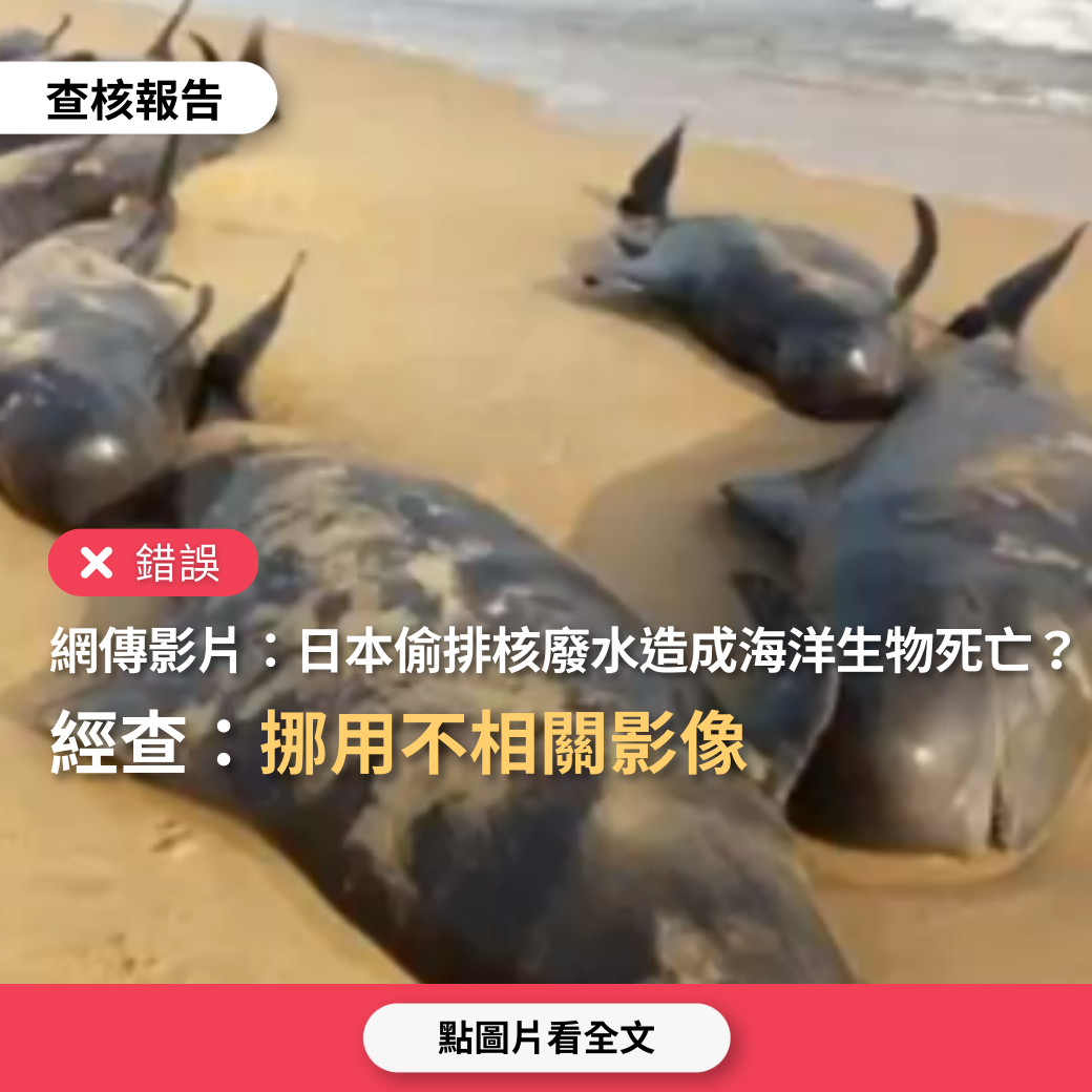 錯誤】網傳影片「日本今年3、4月偷排核廢水，導致大量海洋生物死亡」？ - 台灣事實查核中心