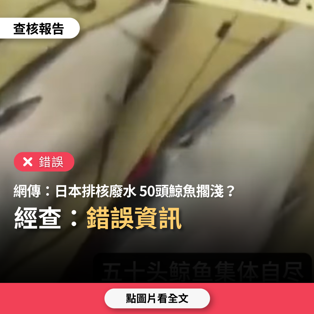 【錯誤】網傳「日本排放核廢水，50頭鯨魚集體自殺，聯合國同意中國用氫彈」？