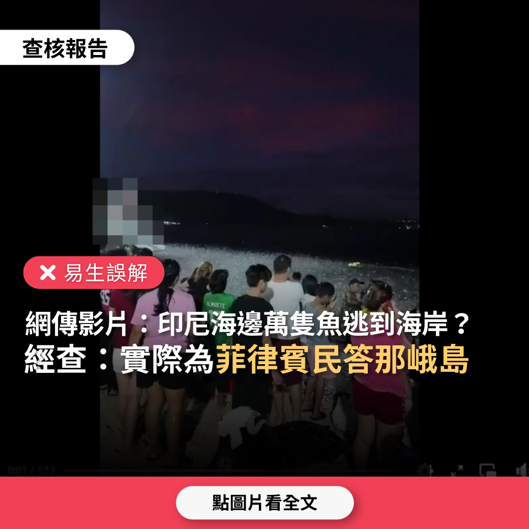 【易生誤解】網傳「印尼海邊萬隻魚逃到海岸，不知海底要發生什麼事」？