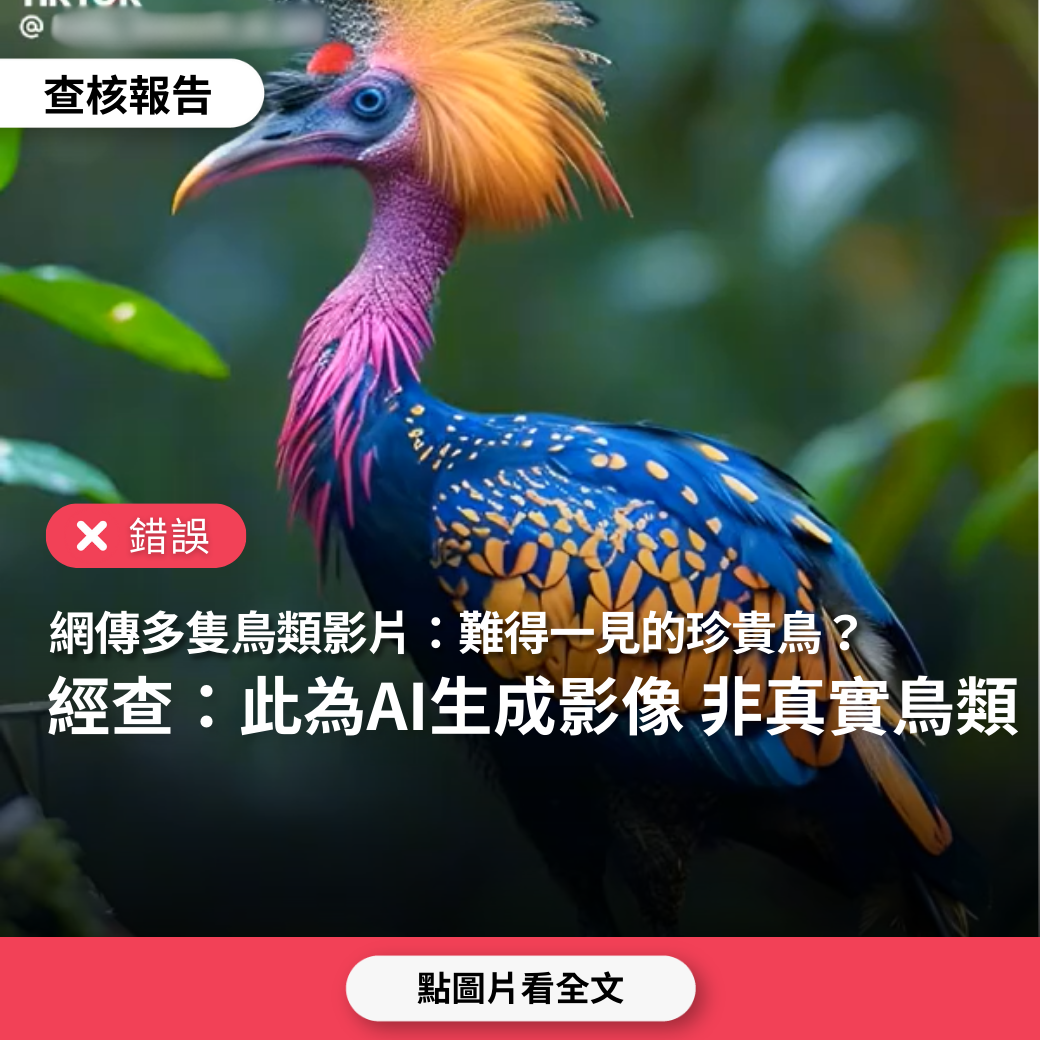 【錯誤】網傳影片「美麗可愛的鳥」、「難得一見的珍貴鳥」？