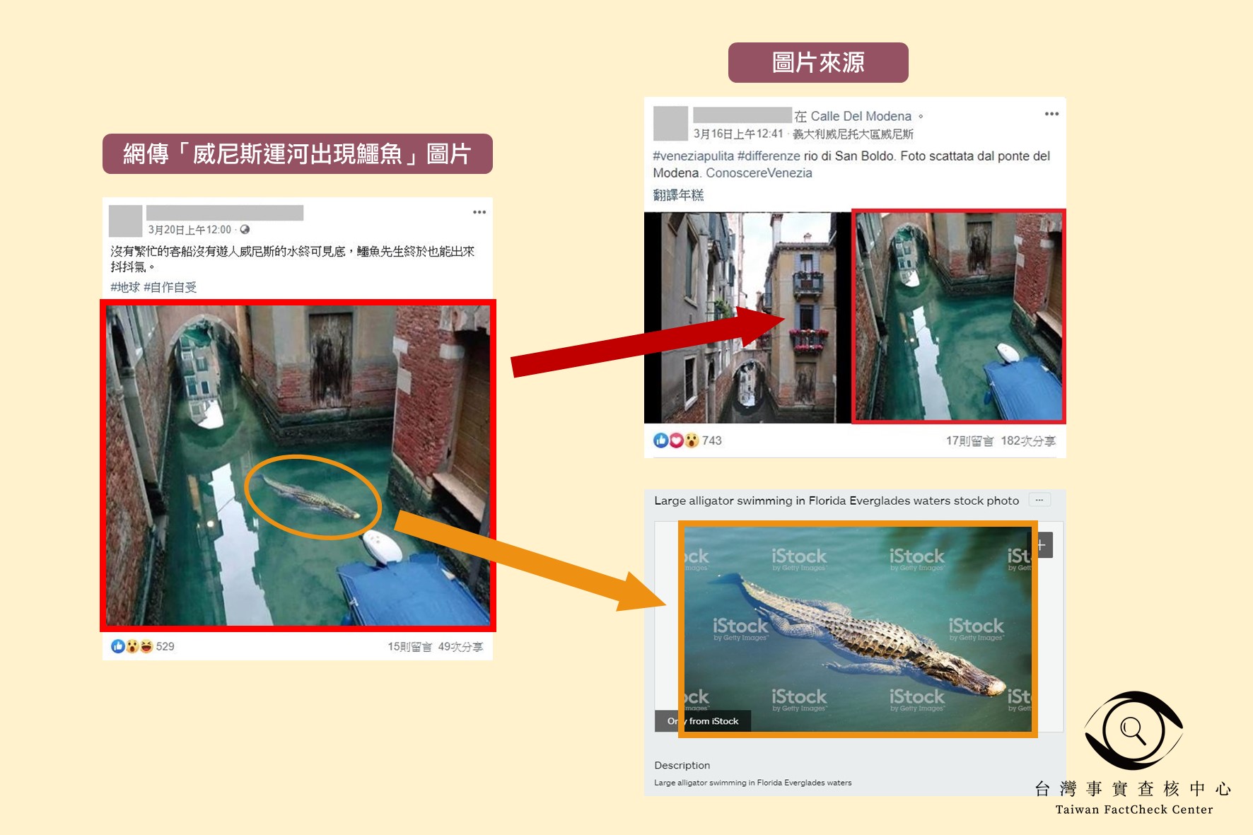 【錯誤】網傳圖片宣稱「沒有繁忙的客船沒有遊人威尼斯的水終可見底，鱷魚先生終於也能出來抖抖氣」？
