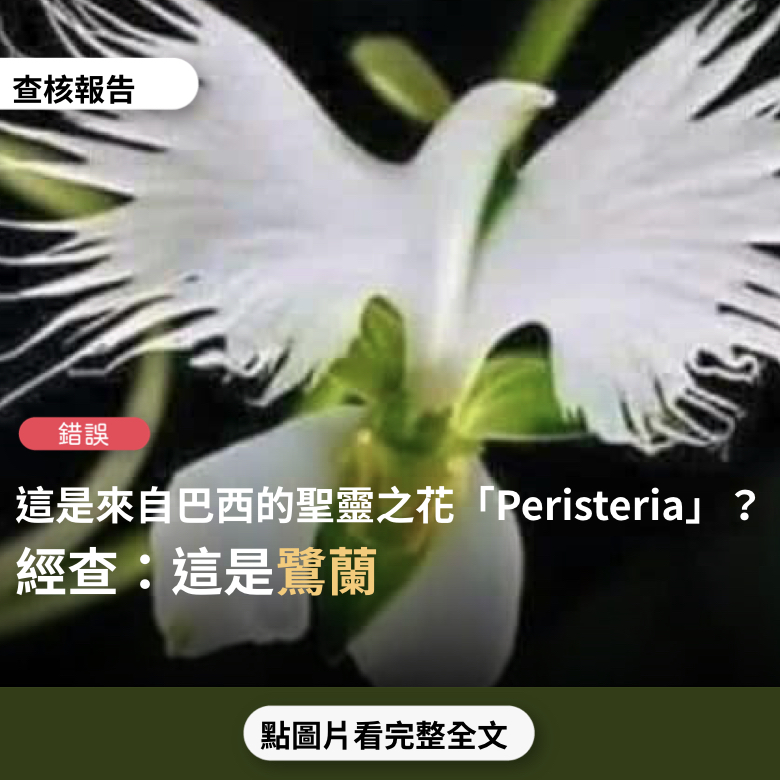 【錯誤】網傳圖片宣稱「這是一種來自巴西的蘭花，名叫Peristeria，它在復活節的季節裡開花，也被稱為聖靈的花…」？