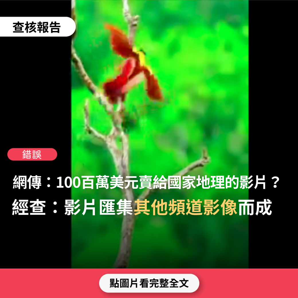 【錯誤】網傳影片「這影片以100萬美元賣給國家地理，非常珍貴」？